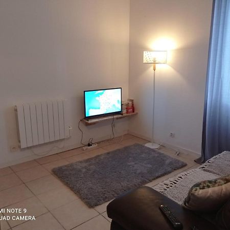 Апартаменти Studio Spacieux Confortable Recemment Renove Альбі Екстер'єр фото