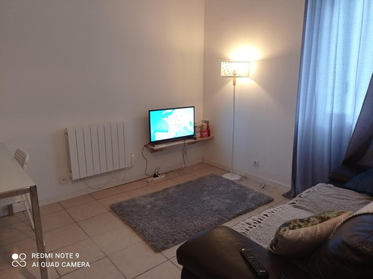 Апартаменти Studio Spacieux Confortable Recemment Renove Альбі Екстер'єр фото
